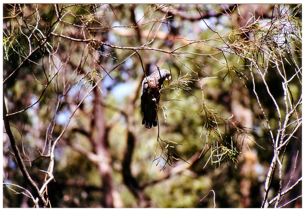 06 - Grampians Nat Park (1).jpg